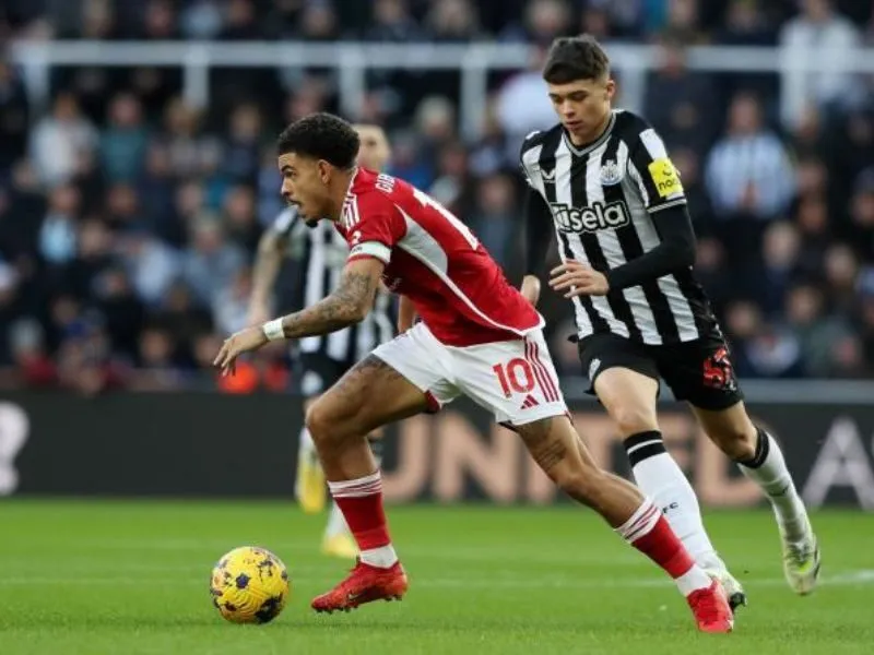 Bảng số liệu thống kê về câu lạc bộ bóng đá Nottingham Forest gặp Newcastle