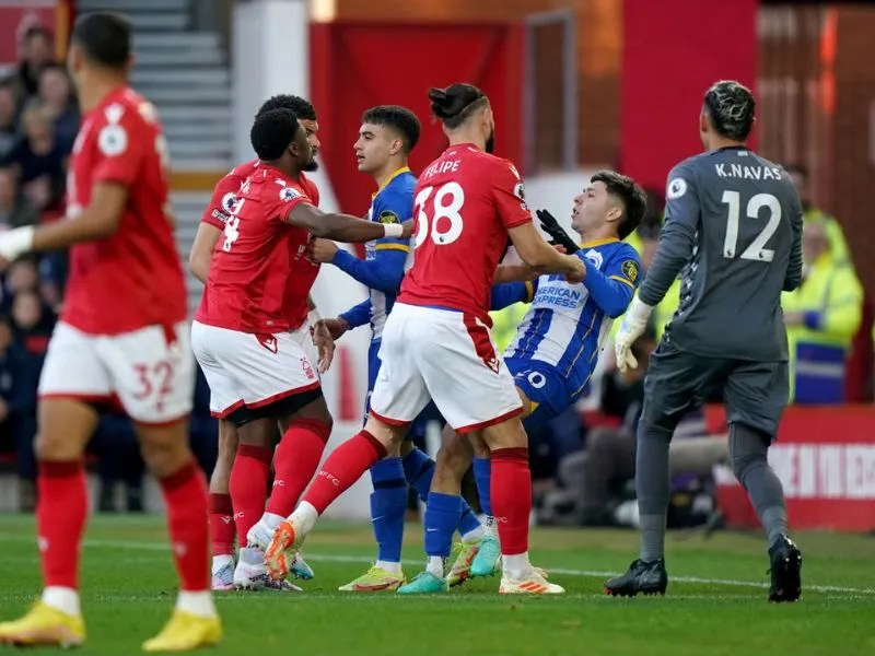 Đội hình Brighton & Hove Albion