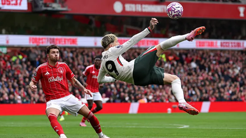 Chỉ số cầu thủ Nottingham Forest: Bảng Dữ Liệu Và Phân Tích
