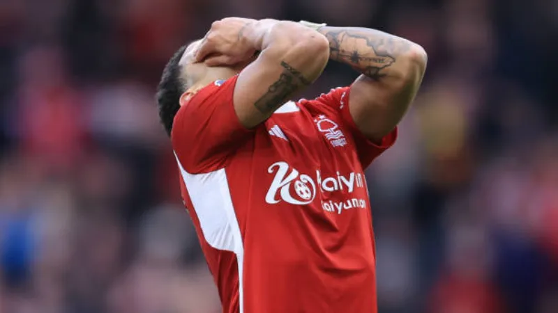 Cá nhân nổi bật và đóng góp theo vị trí