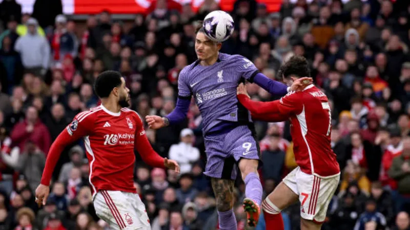 Khung dữ liệu và cách đọc chỉ số kỷ luật