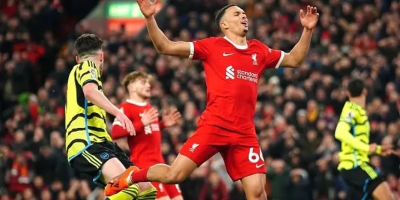 Lý do bongdalu được nhiều người lựa chọn